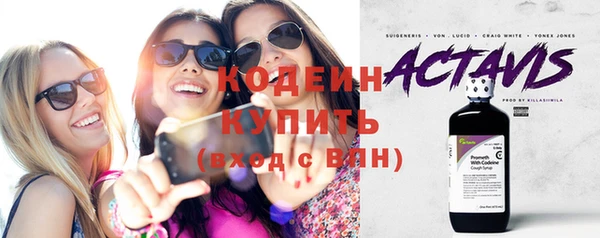 индика Михайловск
