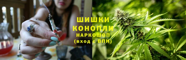 стаф Надым