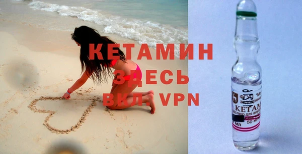 индика Михайловск