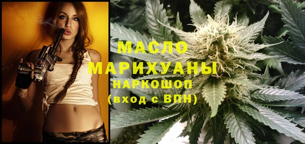 индика Михайловск