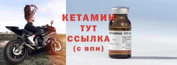 гидра Михайловка
