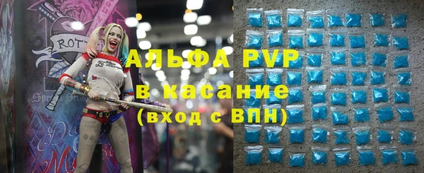 индика Михайловск