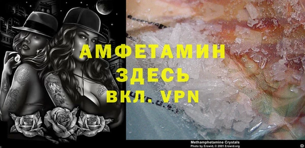 гидра Михайловка