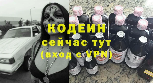 индика Михайловск