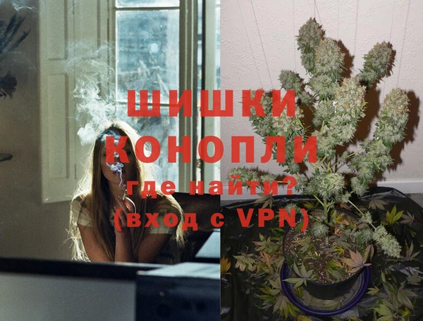 индика Михайловск