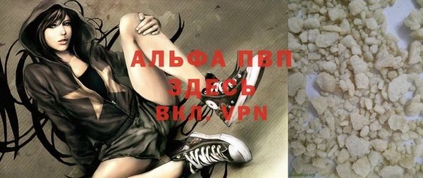 гидра Михайловка