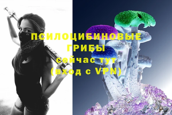 дурь Михайлов