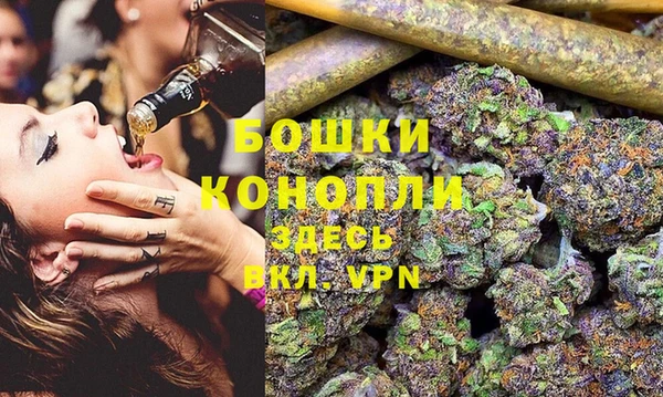 стаф Надым