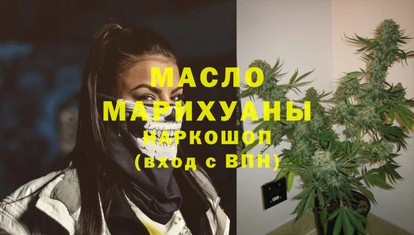 индика Михайловск