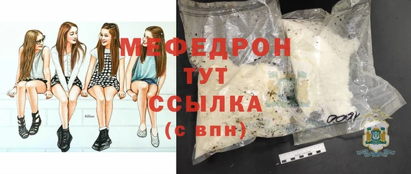 индика Михайловск