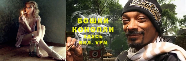 индика Михайловск