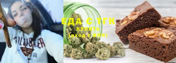 индика Михайловск