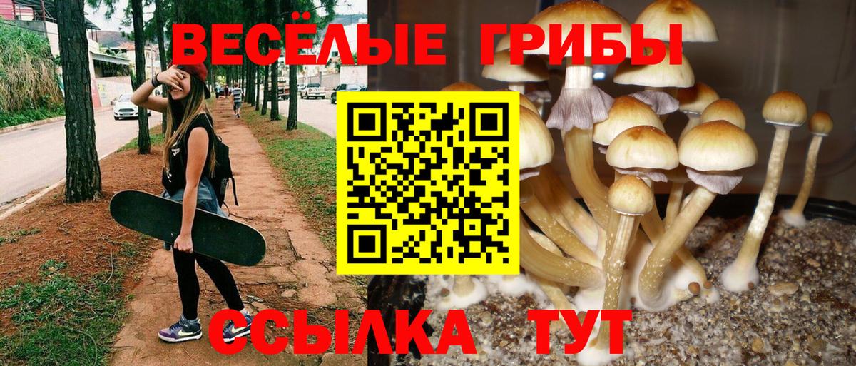 Галлюциногенные грибы ЛСД  Галлюциногенные грибы прущие грибы  Шумерля  Вход с VPN 